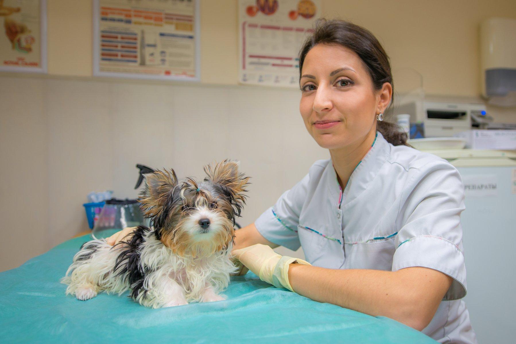 Ветеринарная клиника прайд на уточкина врачи